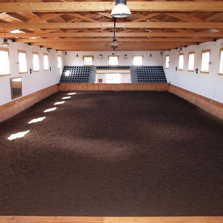Villa Lusitanus Golegã Esterno foto