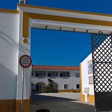 Villa Lusitanus Golegã Esterno foto