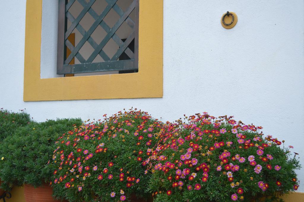 Villa Lusitanus Golegã Esterno foto