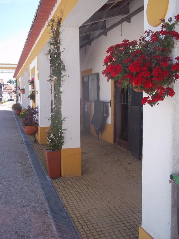 Villa Lusitanus Golegã Esterno foto